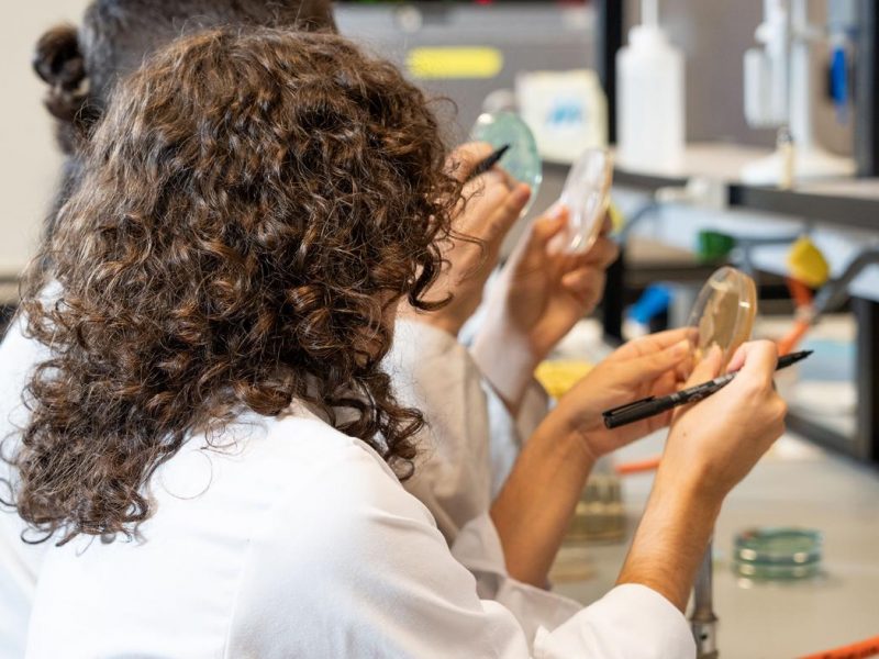 A UVigo sitúase como universidade española líder en Ciencia e Tecnoloxía dos Alimentos