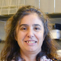 Seijo Coello, María del Carmen